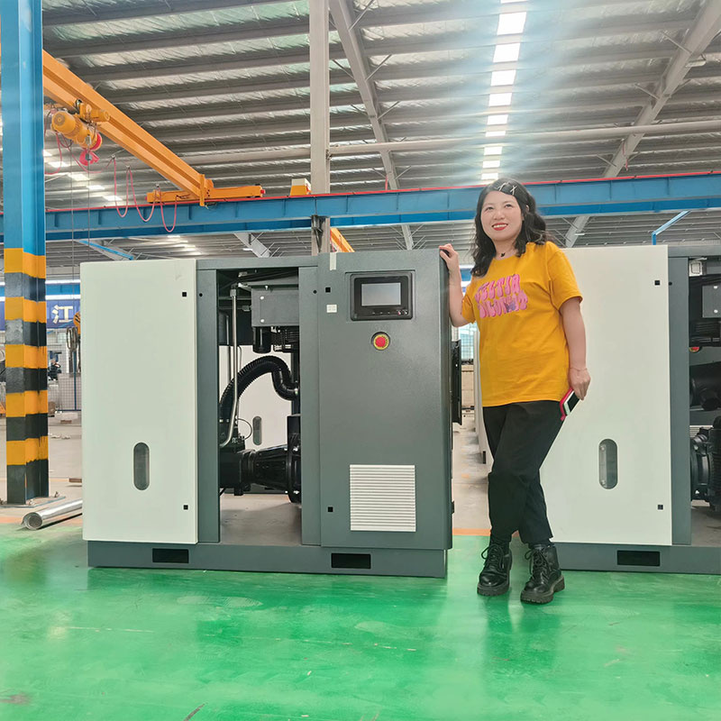 15kW 20HP Permanent Magnet VSD Rotary Screw Air Compressor