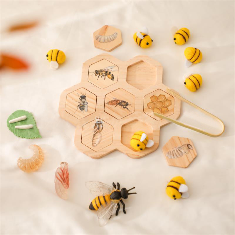 Montessori Wooden Bee Life Cycle Sorting Toy With Beehive